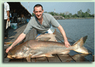 Giant Mekong Catfish - Freshwater Fishing in Bungsam Lan, Bangkok.