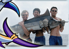 Schwarzer Marlin - Big Game Fischen in Thailand.