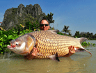 Giant Snakehead Fish - Insjfiske i Thailand.