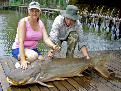 Lady with a Giant Mekong Catfish from Bangkok.