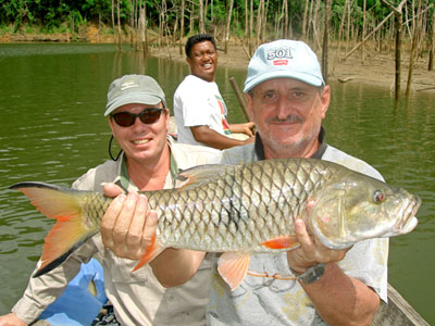 Hampala Barb from Cheow Lan.