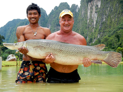 Alligator Gar from Exotic Fishing Thailand.