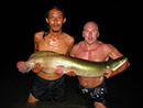 Arapaima from Greenfield Valley.