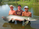 Arapaima from Greenfield Valley.
