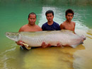 Arapaima from Exotic Fishing Thailand.