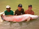 Arapaima from Exotic Fishing Thailand.