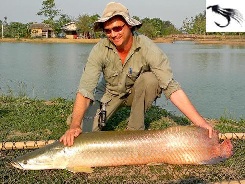 Arapaima from Bangkok Predator Fishing.