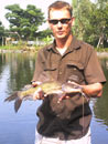 Asian River Catfish from Bangkok.