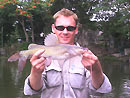 Asian River Catfish from Bangkok.