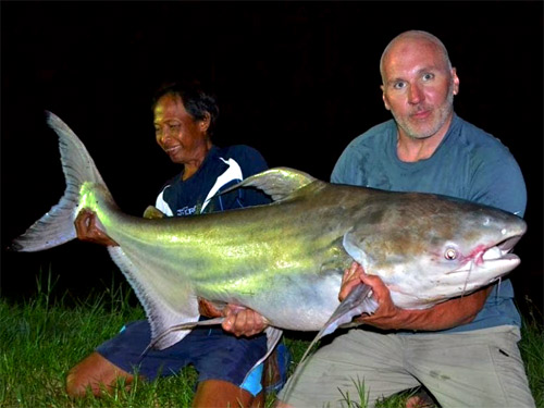 Huge Cheow Phraya Catfish from IT Monster Lake.