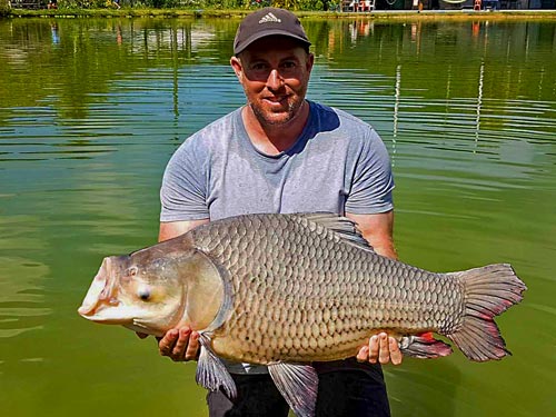 Giant Siamese Carp from Chalong Fishing Park.