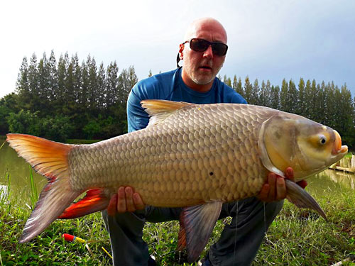 Giant Siamese Carp from Lake Monsters.