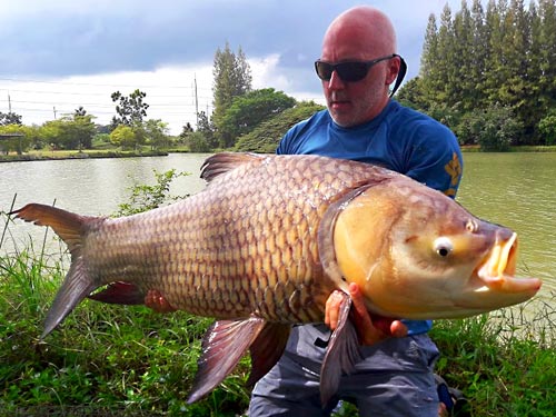 Giant Siamese Carp from Lake Monsters.