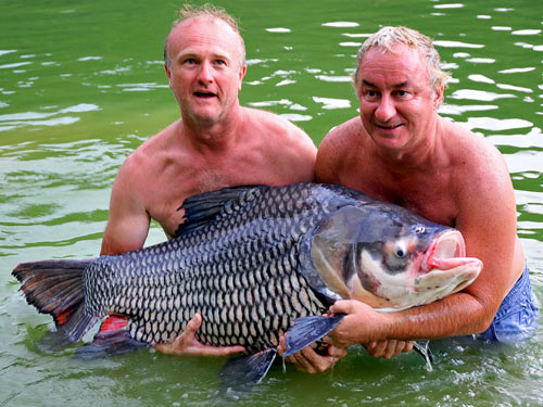 Giant Siamese Carp at Exotic Fishing Thailand.