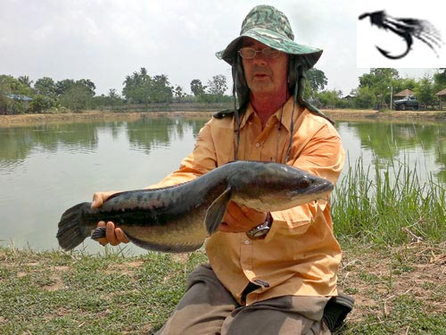 Giant Snakehead on fly from Bangkok Predator Fishing.