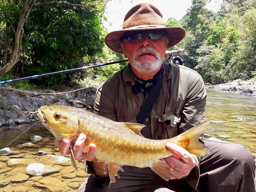 Mahseer on fly at Cheow Lan.