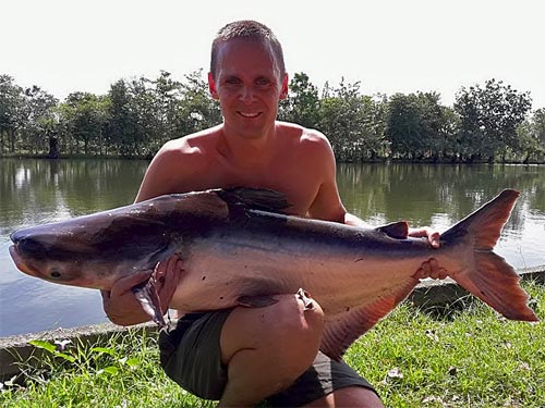 Giant Mekong Catfish at Taipar Lake.