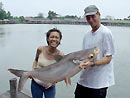 Girl and Mekong Catfish