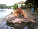 Huge Giant Mekong Catfish.