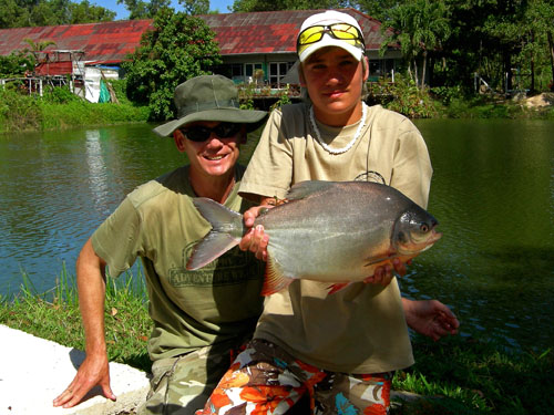 Pacu from Sawai Lake Phuket.