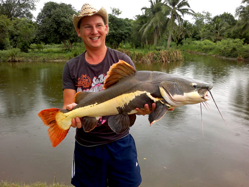 Amazon Redtail Catfish from Greenfield Valley Hua Hin.