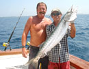 Barracuda from the Andaman Islands.
