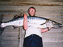 Andrew with a big Barracuda.