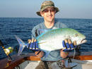Bluefin Trevally from The Andaman Islands.