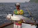 Dogtooth Tuna from the Andaman Islands.