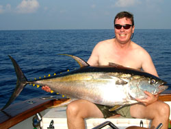 XXL Yellowfin Tuna.
