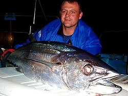 Dogtooth Tuna from Burma Banks