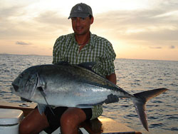 Giant Trevally from The Similan Islands.