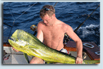 Dorado (Dolphin Fish) - Saltwater Fishing in Thailand.