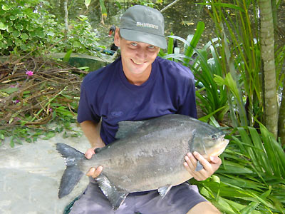 Pacu from Par Lai Lake in Phuket.