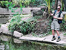 Fighting a Striped Catfish on fly in Phuket.