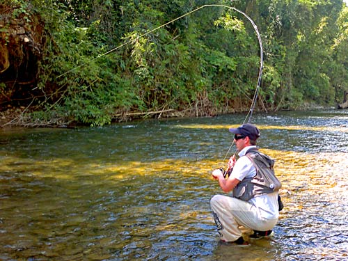 Jungle Fly Fishing.