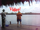 Fighting a Striped Catfish in Bangkok.