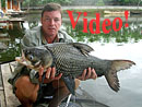 Fighting a Giant Siamese Carp in Bangkok.