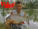 Pacu on fly at Sawai Lake Phuket.