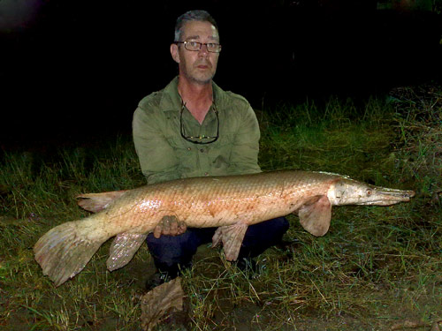 A nice Alligator Gar at Twin Palm Lagoon.