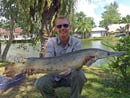 Alligator Gar.