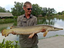 Alligator Gar.