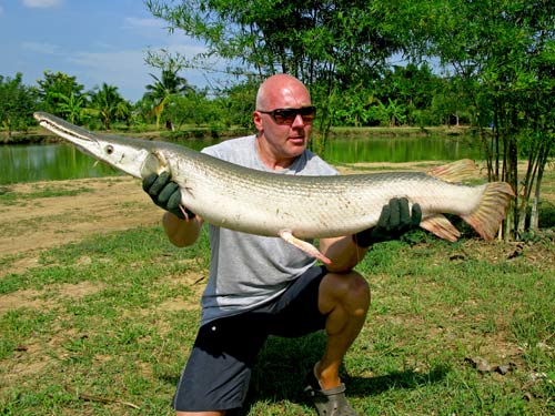 Alligator Gar.