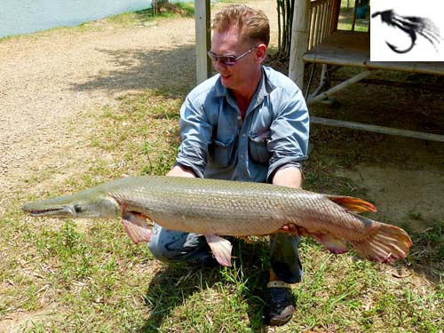 Alligator Gar caught on fly.