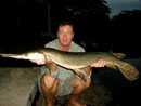 Alligator Gar.