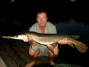 Alligator Gar.