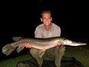 Alligator Gar.