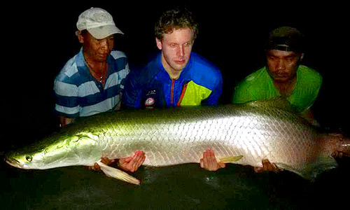 Arapaima from IT Monster Lake Thailand.