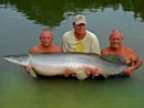 Arapaima from Krabi.