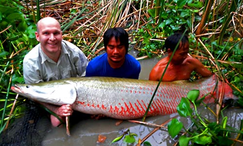IT Monster Lake Thailand Fishing Khao Lak